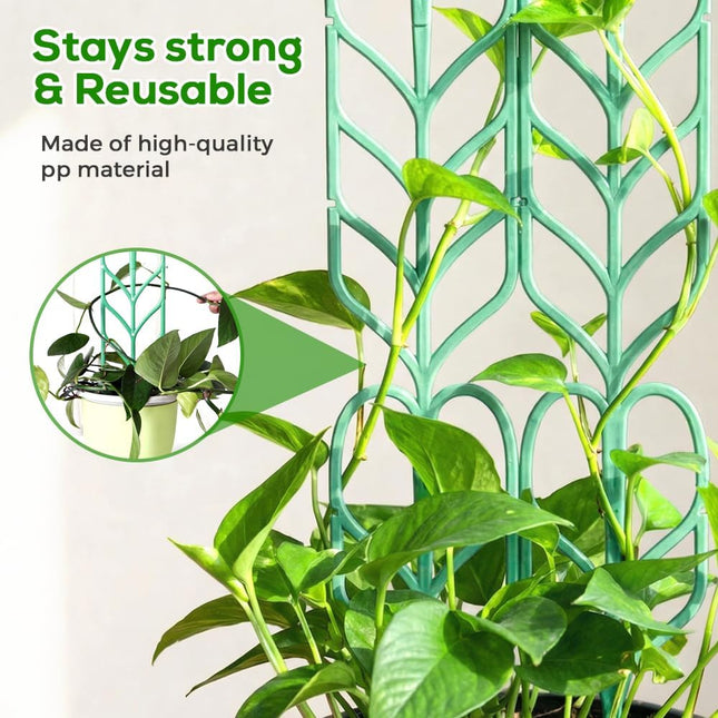Plant Trellis for Climbing Plants, Indoor Outdoor Plastic Garden Trellis, Adjtable Potted Plant Support for Pothos, Ivy, Hoya, Monstera & Flower Vines (3PCS) - Petal & Stem