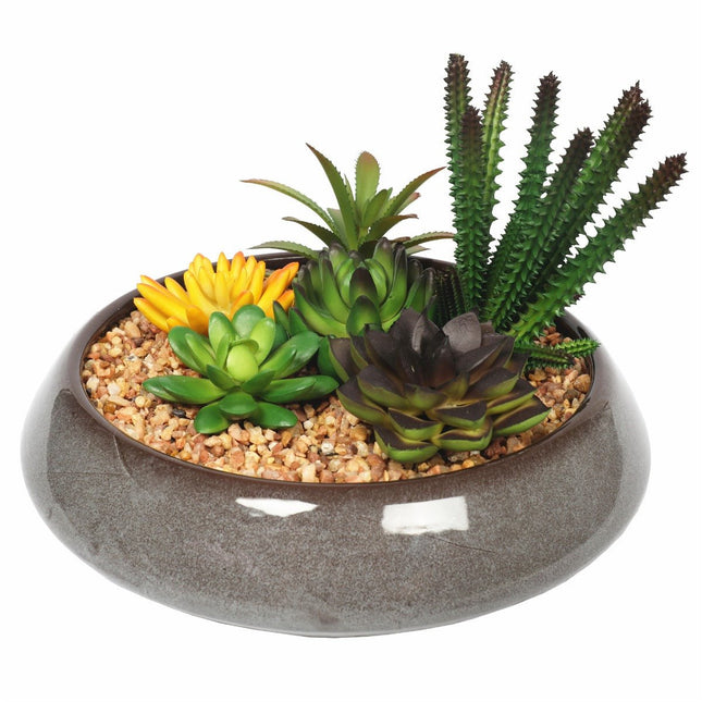 Potted Artificial Succulents with Round Decorative Bowl 19cm - Petal & Stem