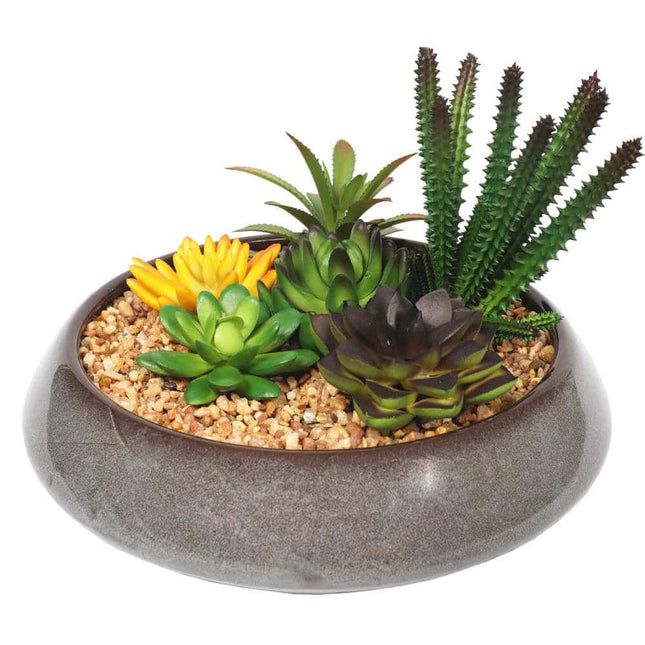 Potted Artificial Succulents with Round Decorative Bowl 19cm - Petal & Stem