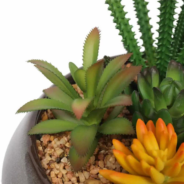 Potted Artificial Succulents with Round Decorative Bowl 19cm - Petal & Stem