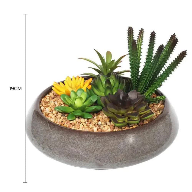 Potted Artificial Succulents with Round Decorative Bowl 19cm - Petal & Stem