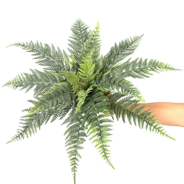 Premium Artificial Australian Fern UV Resistant 60cm - Petal & Stem