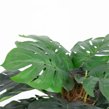 Premium Artificial Monstera Deliciosa Tree 100cm - Petal & Stem