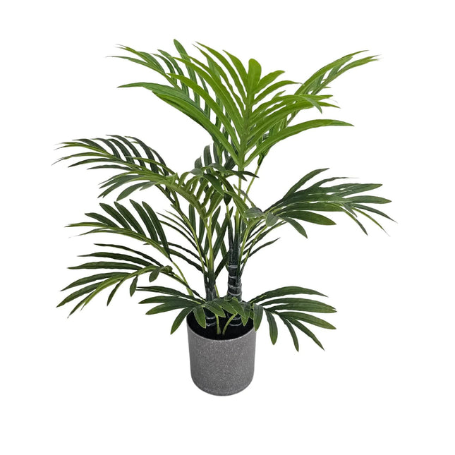 Premium Artificial Potted Premium Mini Palm Tree 55cm - Petal & Stem