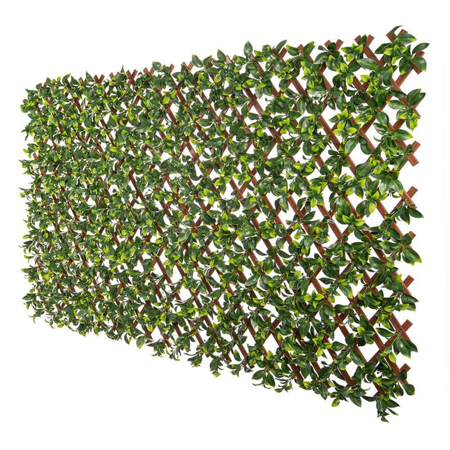 Premium Jasmine Artificial Hedge Extendable Trellis / Screen 2 Meter By 1 Meter UV Resistant (PVC) - Petal & Stem