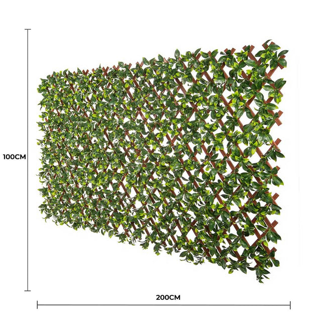 Premium Jasmine Artificial Hedge Extendable Trellis / Screen 2 Meter By 1 Meter UV Resistant (PVC) - Petal & Stem