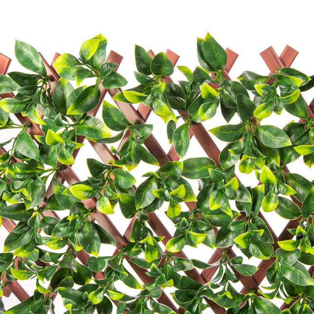 Premium Jasmine Artificial Hedge Extendable Trellis / Screen 2 Meter By 1 Meter UV Resistant (PVC) - Petal & Stem
