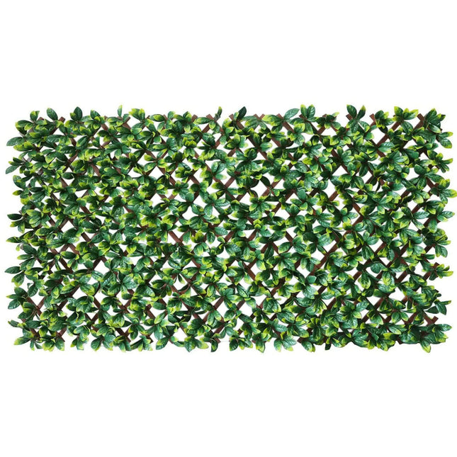 Premium Laurel Leaf Artificial Hedge Extendable Trellis / Screen 2 Meter By 1 Meter UV Resistant (PVC) - Petal & Stem