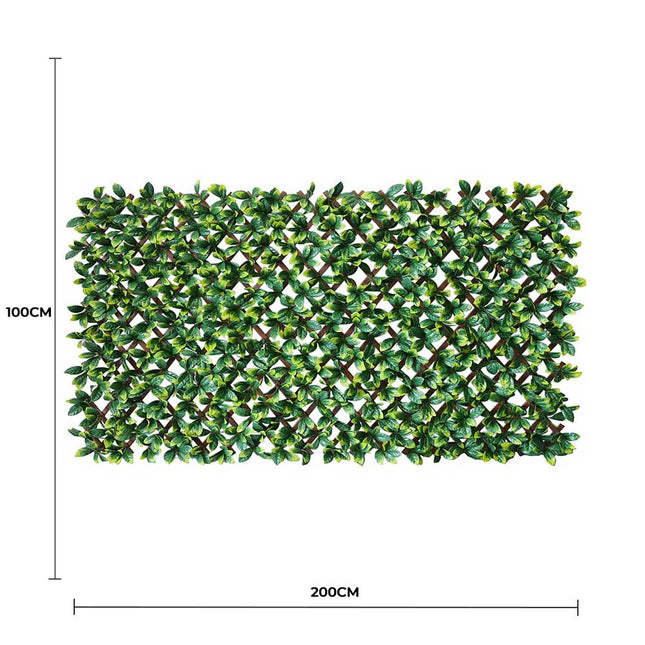 Premium Laurel Leaf Artificial Hedge Extendable Trellis / Screen 2 Meter By 1 Meter UV Resistant (PVC) - Petal & Stem