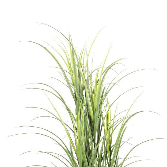 Premium Potted Artificial Long Grass (Yucca Grass / Reed Grass) 180cm UV Resistant - Petal & Stem