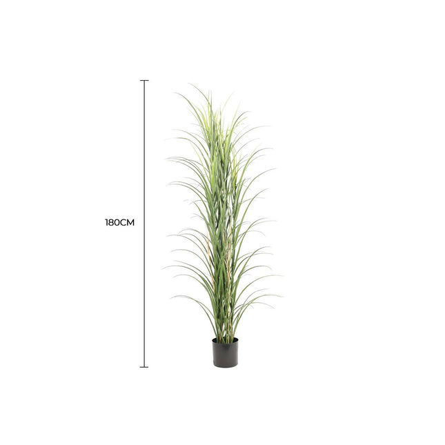 Premium Potted Artificial Long Grass (Yucca Grass / Reed Grass) 180cm UV Resistant - Petal & Stem