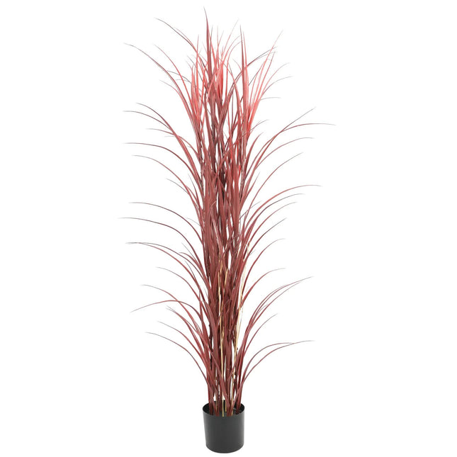 Premium Potted Burgundy Artificial Long Grass (Yucca Grass / Reed Grass) 180cm UV Resistant - Petal & Stem