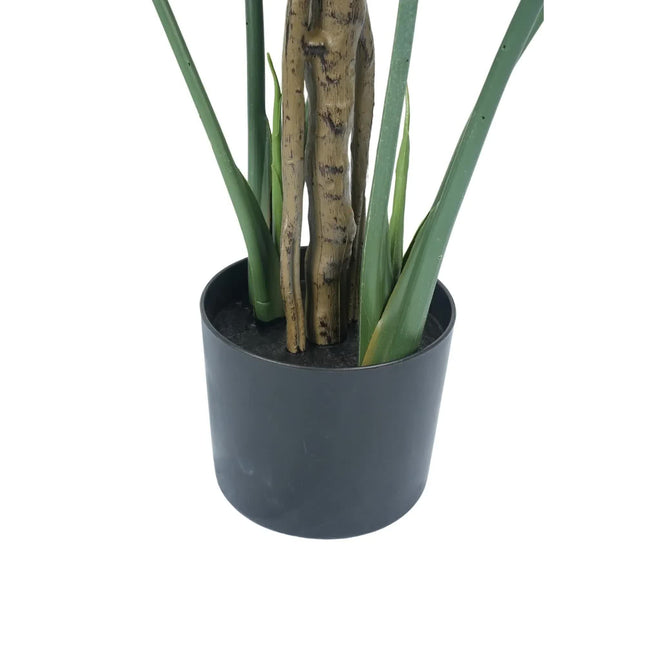 Premium Potted Monstera Split Leaf 150cm UV Resistant - Petal & Stem