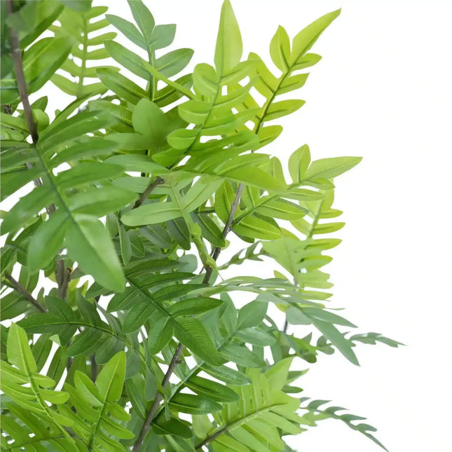 Premium Real Touch Artificial Bracken Palm Tree 180cm - Petal & Stem