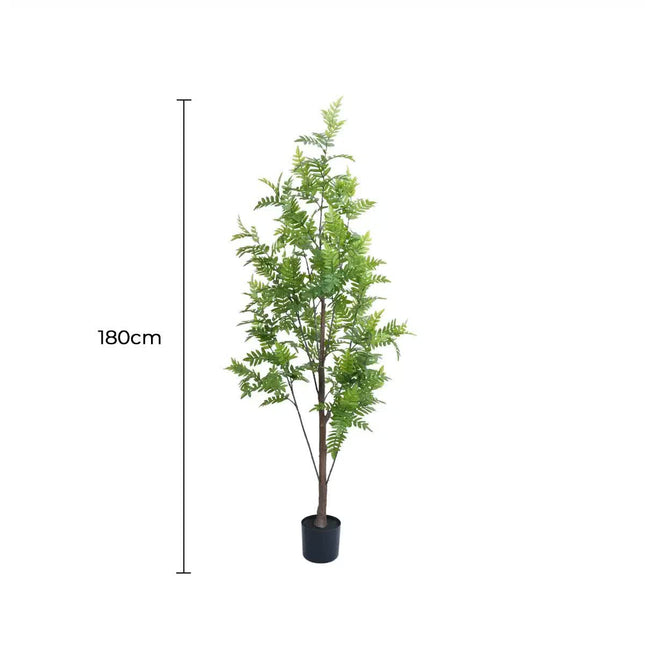 Premium Real Touch Artificial Bracken Palm Tree 180cm - Petal & Stem