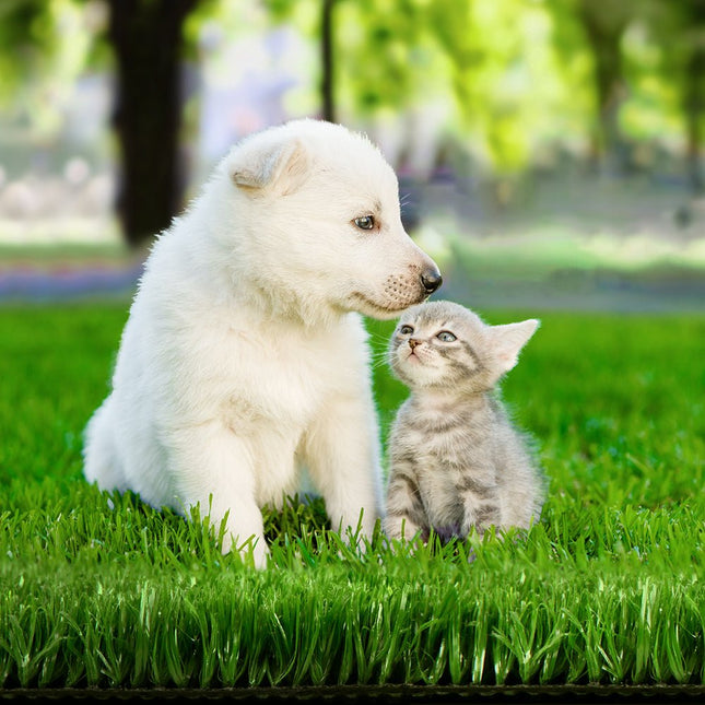 Prime Turf Artificial Grass 2mx5m 10mm Synthetic Fake Lawn Turf Plant Plastic Olive - Petal & Stem