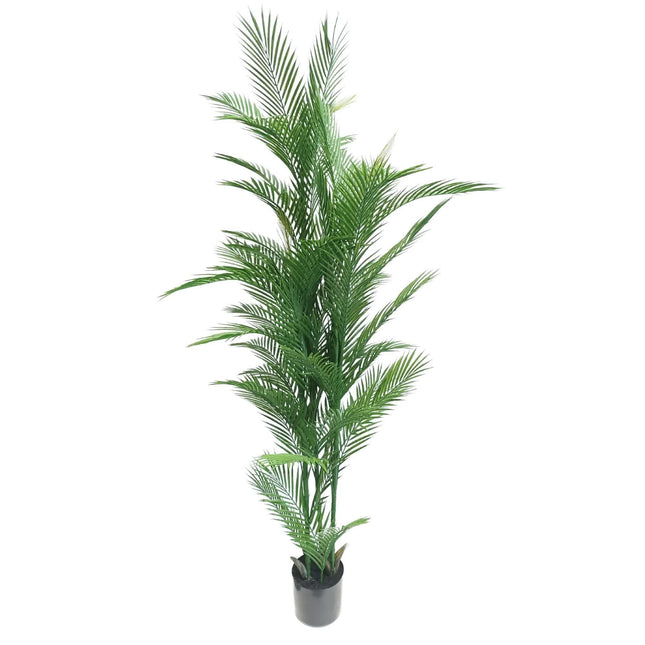 Real Touch Artificial Phoenix Palm Tree UV Resistant 180cm - Petal & Stem