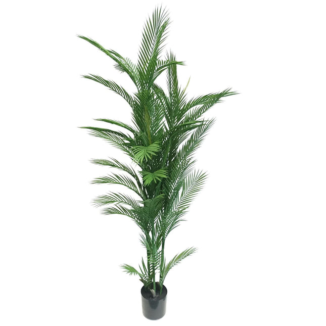 Real Touch Artificial Phoenix Palm Tree UV Resistant 180cm - Petal & Stem