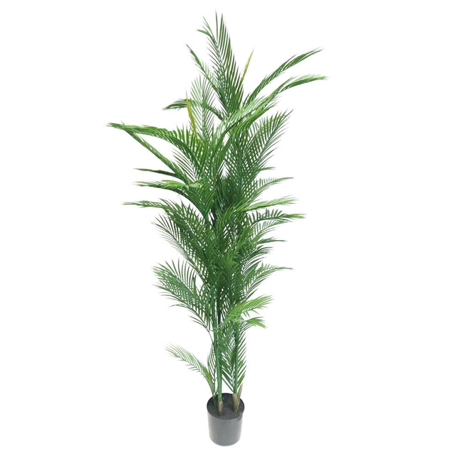 Real Touch Artificial Phoenix Palm Tree UV Resistant 180cm - Petal & Stem