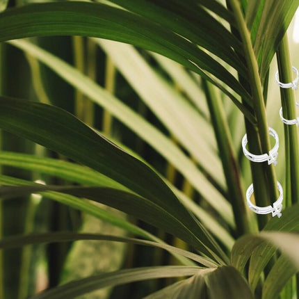 Secured Plastic Plant Clip 100 Pcs, Garden Support Clips for Climbing Vines Reusable, White - Petal & Stem