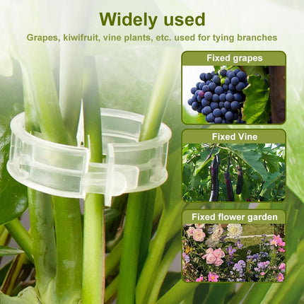 Secured Plastic Plant Clip 100 Pcs, Garden Support Clips for Climbing Vines Reusable, White - Petal & Stem