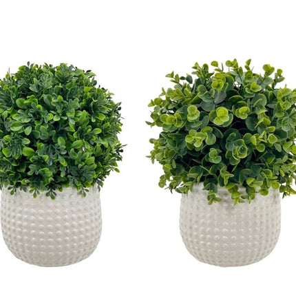Set 2 Artificial Boxwood Topiary Ball in Ceramic Pot 29cm - Petal & Stem