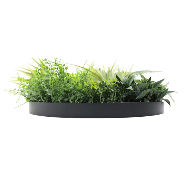 Slimline Artificial Green Wall Disc Art 50cm Grassy Fern Fields UV Resistant (Black) - Petal & Stem