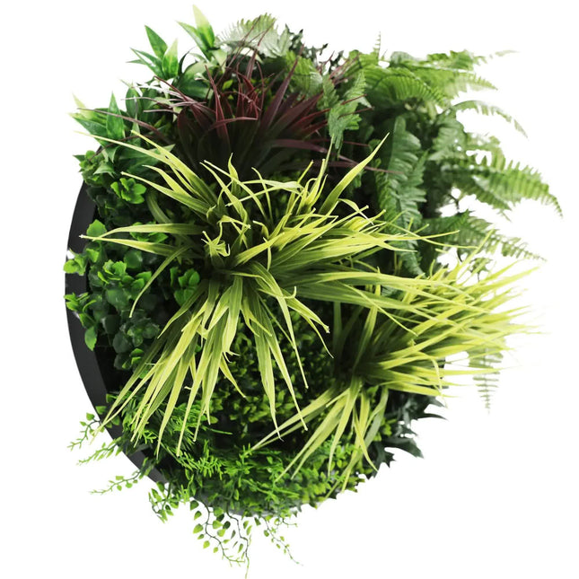 Slimline Artificial Green Wall Disc Art 50cm Grassy Fern Fields UV Resistant (Black) - Petal & Stem
