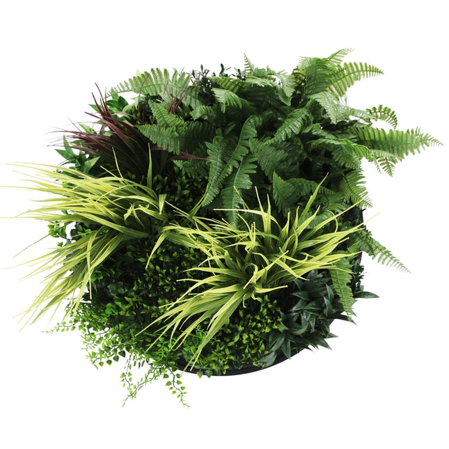 Slimline Artificial Green Wall Disc Art 50cm Grassy Fern Fields UV Resistant (Black) - Petal & Stem