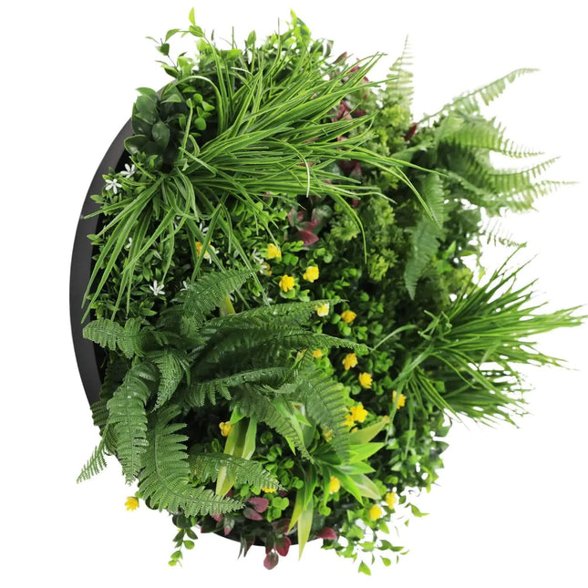Slimline Artificial Green Wall Disc Art 60cm Country Fern UV Resistant (Black) - Petal & Stem