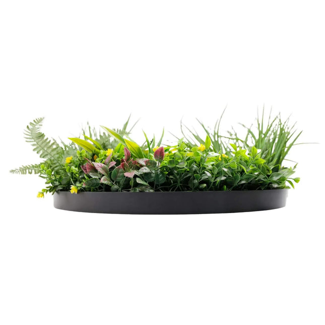 Slimline Artificial Green Wall Disc Art 60cm Country Fern UV Resistant (Black) - Petal & Stem