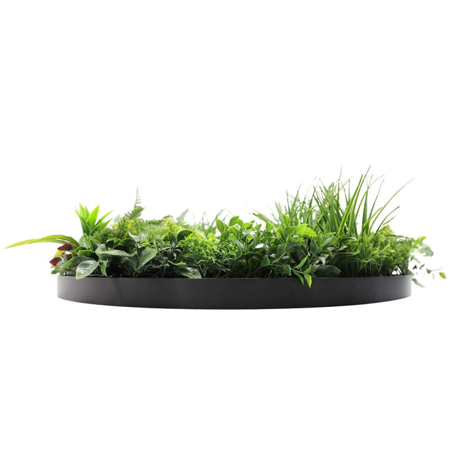 Slimline Artificial Green Wall Disc Art 80cm Country Fern UV Resistant (Black) - Petal & Stem