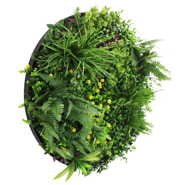 Slimline Artificial Green Wall Disc Art 80cm Country Fern UV Resistant (Black) - Petal & Stem