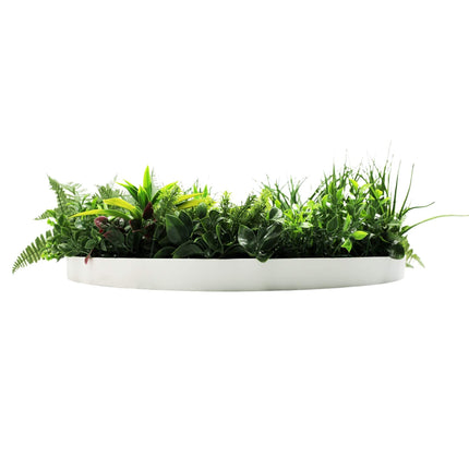 Slimline Artificial Green Wall Disc Art 80cm Country Fern UV Resistant (White) - Petal & Stem