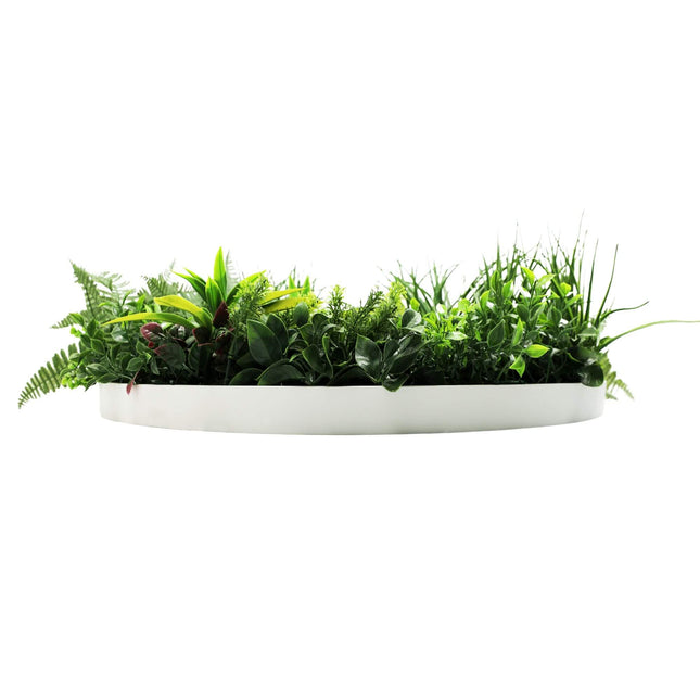Slimline Artificial Green Wall Disc Art 80cm Country Fern UV Resistant (White) - Petal & Stem