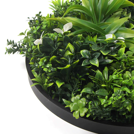 Slimline Flowering White Artificial Green Wall Disc UV Resistant 75cm (Black Frame) - Petal & Stem