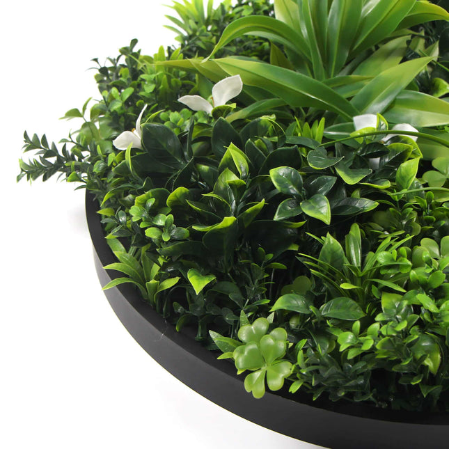 Slimline Flowering White Artificial Green Wall Disc UV Resistant 75cm (Black Frame) - Petal & Stem