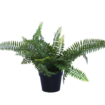 Small Potted Artificial Dark Green Fern Plant UV Resistant 20cm - Petal & Stem