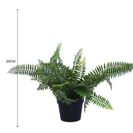 Small Potted Artificial Dark Green Fern Plant UV Resistant 20cm - Petal & Stem