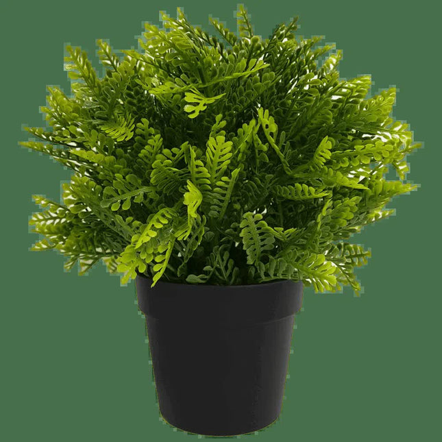 Small Potted Artificial Mimosa Fern UV Resistant 20cm - Petal & Stem