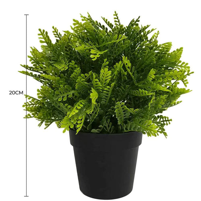 Small Potted Artificial Mimosa Fern UV Resistant 20cm - Petal & Stem