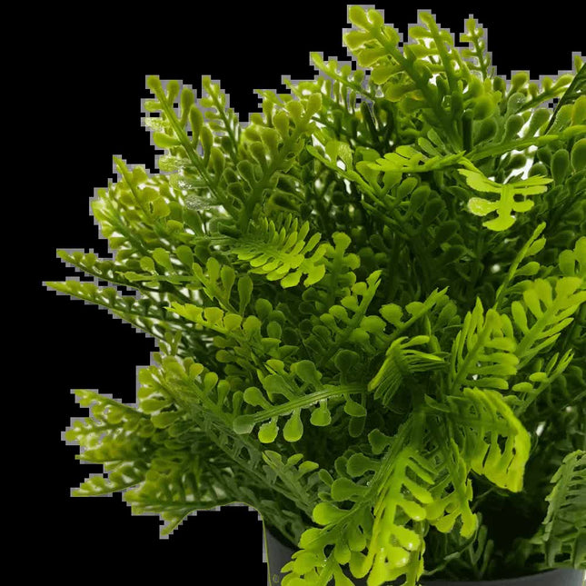 Small Potted Artificial Mimosa Fern UV Resistant 20cm - Petal & Stem