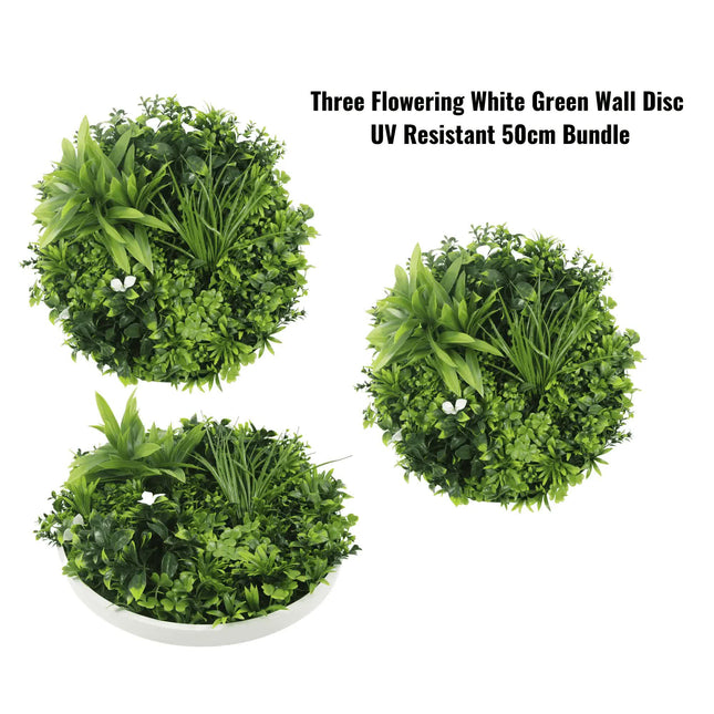 Three Flowering White Green Wall Disc UV Resistant 50cm Bundle - Petal & Stem
