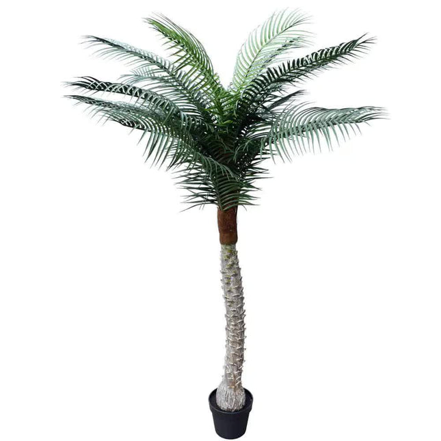 Tropical Phoenix Artificial Potted Palm Tree 190cm UV Resistant - Petal & Stem