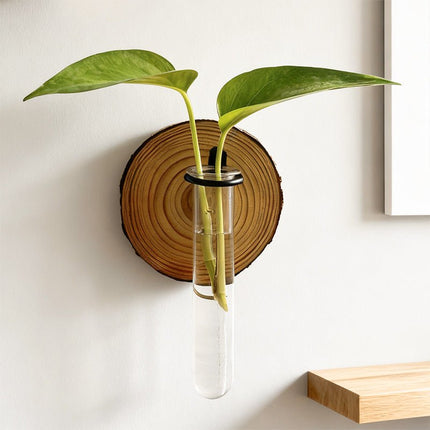 Wall Mounted Hydroponic Plant Test TubeFlower Pot for Indoor Plants & Cuttings - Petal & Stem