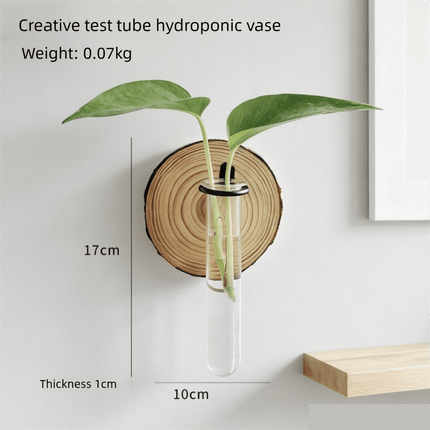 Wall Mounted Hydroponic Plant Test TubeFlower Pot for Indoor Plants & Cuttings - Petal & Stem