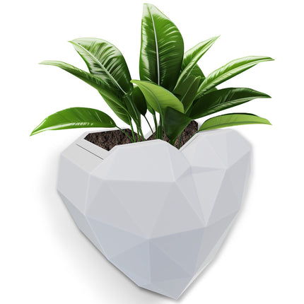 Wall Mounted Planter NO DRILLING,Houseplant Wall Display Ideas,3D Printed Wall Planter with Drainage Tray - Petal & Stem