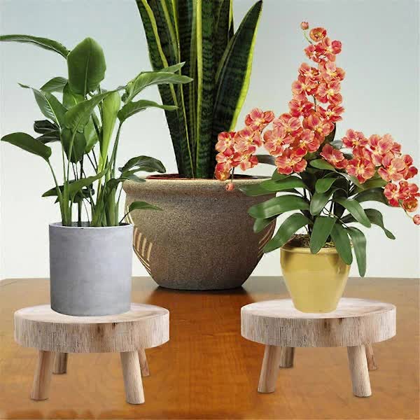 Wooden Plant Stand Bonsai Display Holder Indoor Outdoor Garden Decor - Petal & Stem
